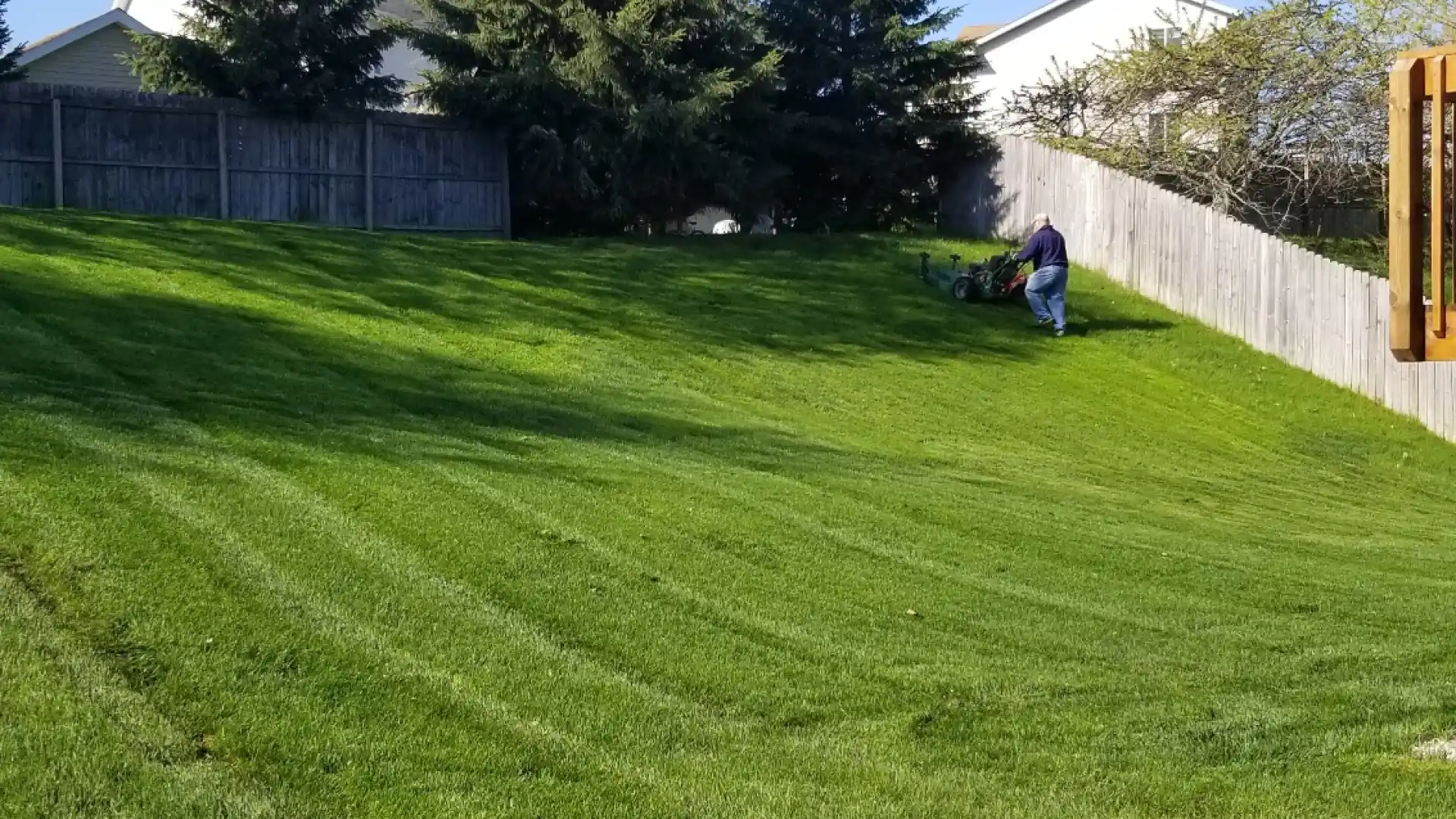 Making the Lawn the Best It Can Be in Marne MI