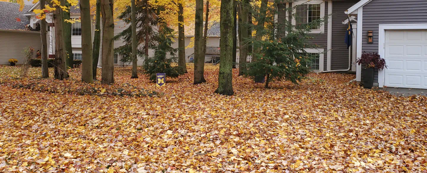 patio of some houses with fall out leaves